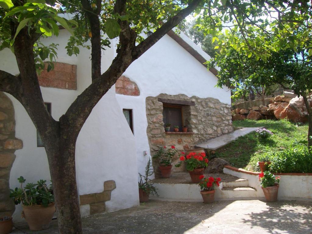 Villa Casa de Abajo Prado Del Rey Habitación foto