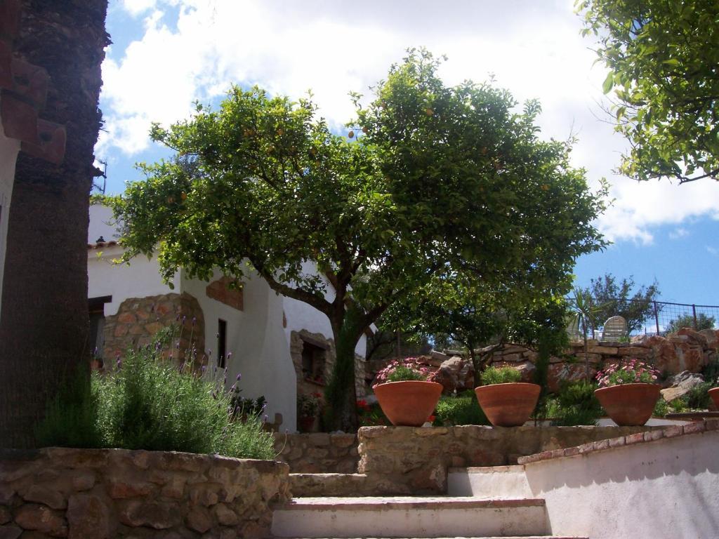 Villa Casa de Abajo Prado Del Rey Exterior foto